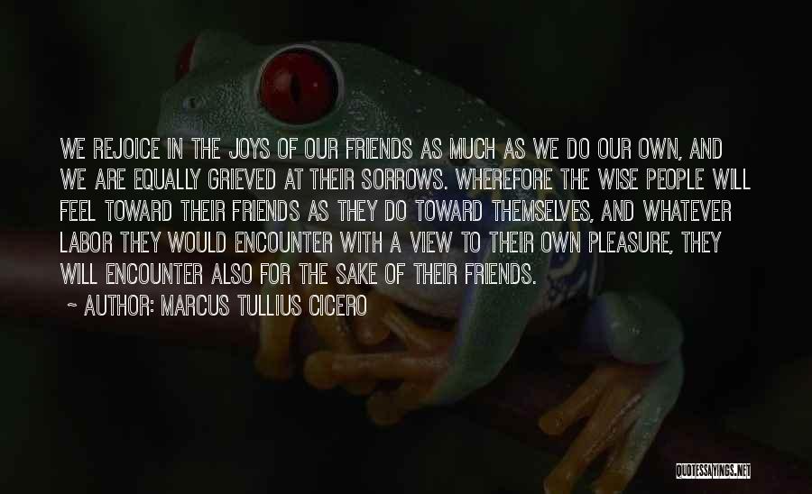 Joys Of Friendship Quotes By Marcus Tullius Cicero