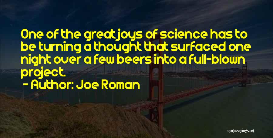 Joys Quotes By Joe Roman