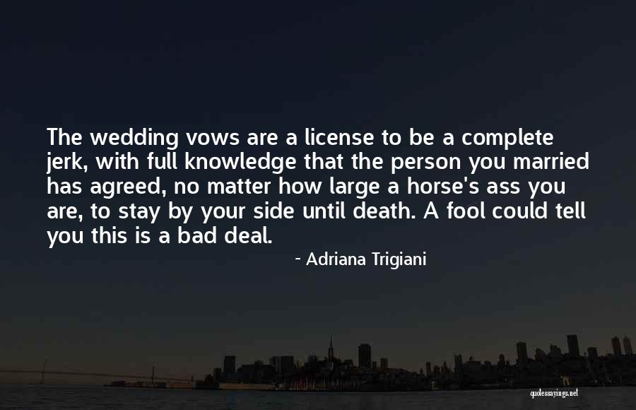 Jozef Hajdn Quotes By Adriana Trigiani Jozef Hajdn Quotes By Adriana Trigiani