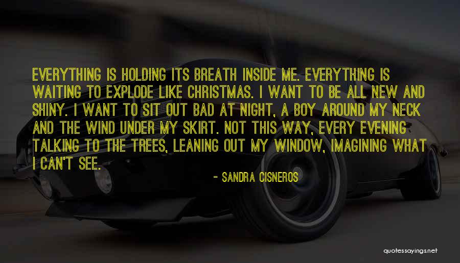 Jozwiak Kevin Quotes By Sandra Cisneros Jozwiak Kevin Quotes By Sandra Cisneros