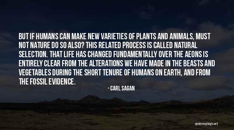 Jquery Input Quotes By Carl Sagan Jquery Input Quotes By Carl Sagan