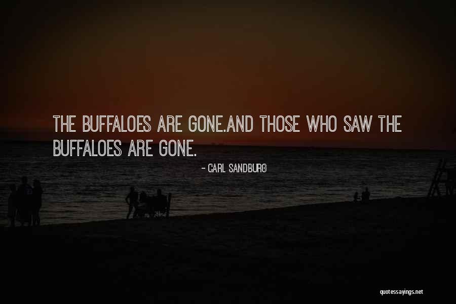 Jrgi Builders Quotes By Carl Sandburg Jrgi Builders Quotes By Carl Sandburg