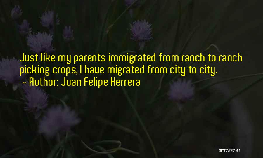 Juan Felipe Herrera Quotes 747424