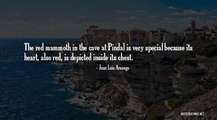 Juan Luis Arsuaga Quotes 478900 Juan Luis Arsuaga Quotes 478900
