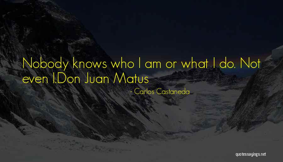 Juan Matus Quotes By Carlos Castaneda