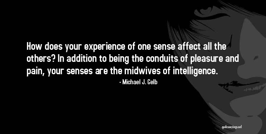 Juan Miguel Severo Quotes By Michael J. Gelb Juan Miguel Severo Quotes By Michael J. Gelb