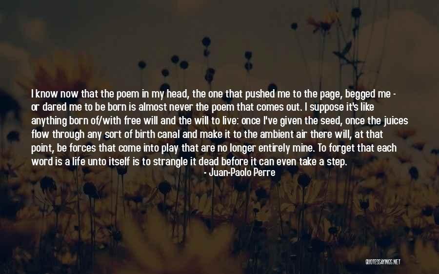 Juan-Paolo Perre Quotes 904857