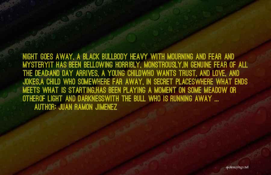 Juan Ramon Jimenez Quotes 895553