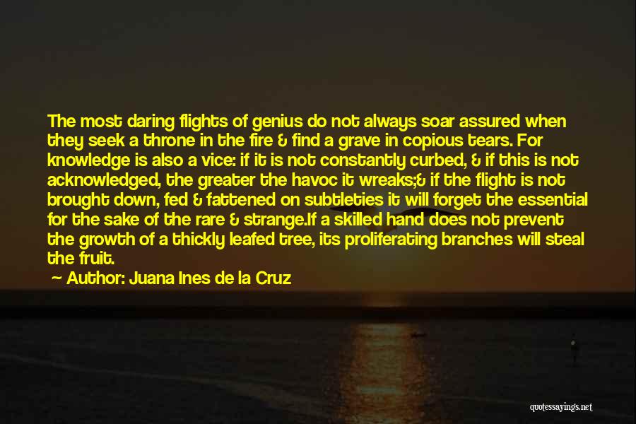 Juana Ines De La Cruz Quotes 788360