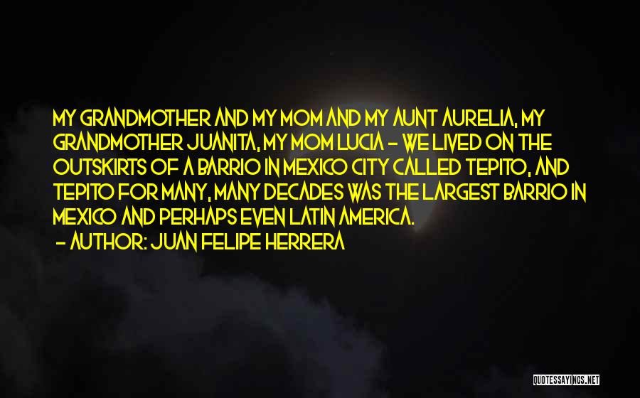 Juanita Quotes By Juan Felipe Herrera