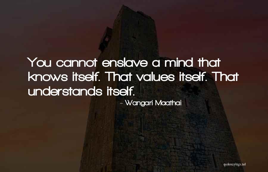 Jubjub Smg4 Quotes By Wangari Maathai Jubjub Smg4 Quotes By Wangari Maathai