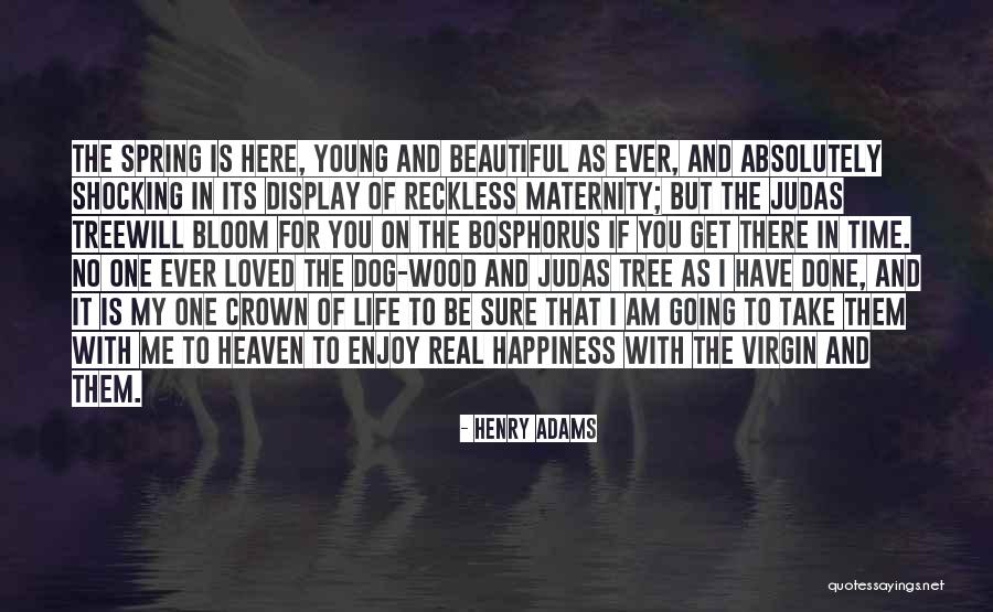 Judas Me Quotes By Henry Adams