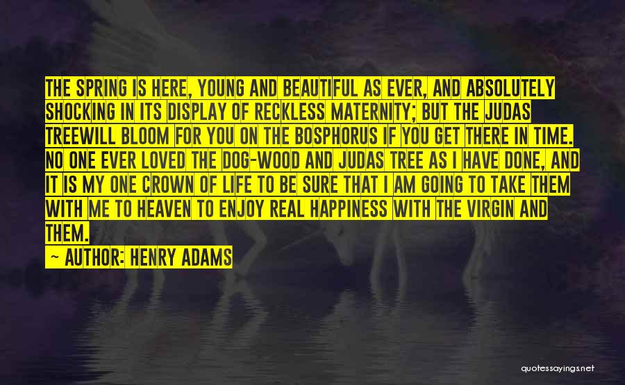 Judas Tree Quotes By Henry Adams