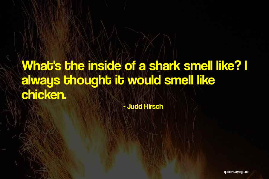 Judd Hirsch Quotes 909293