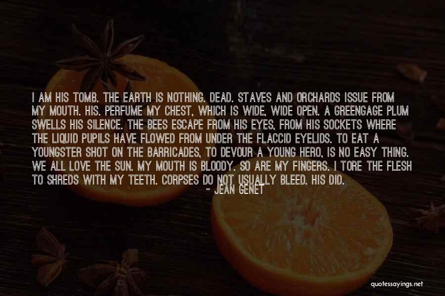 Judecata Tiganeasca Quotes By Jean Genet Judecata Tiganeasca Quotes By Jean Genet