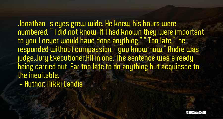 Judge Jury Executioner Quotes By Nikki Landis