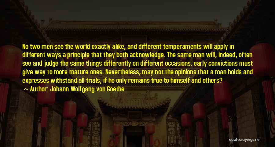 Judge Not Others Quotes By Johann Wolfgang Von Goethe