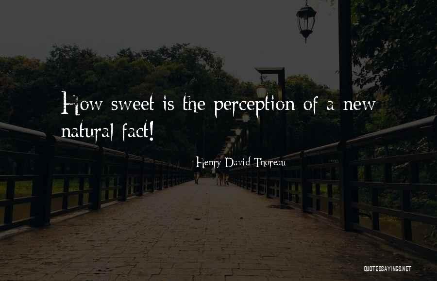 Judge Patel Quotes By Henry David Thoreau Judge Patel Quotes By Henry David Thoreau