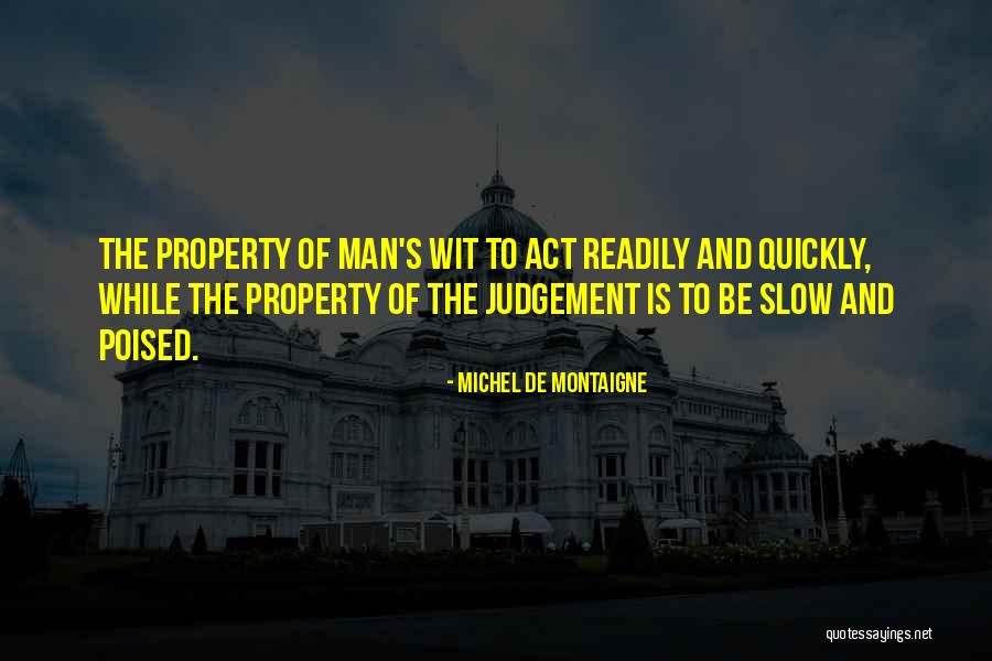 Judgement Quotes By Michel De Montaigne