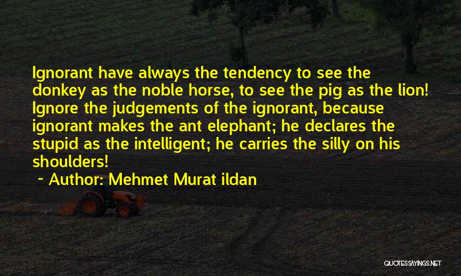 Judgements Quotes By Mehmet Murat Ildan