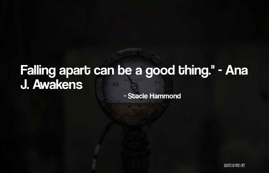 Judging Based On Appearance Quotes By Stacie Hammond