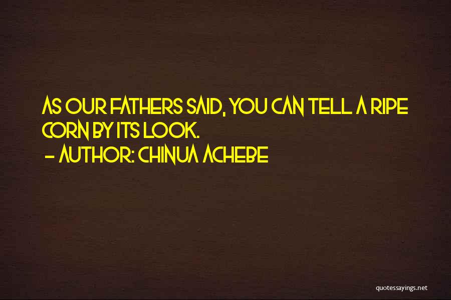 Judging By Appearance Quotes By Chinua Achebe