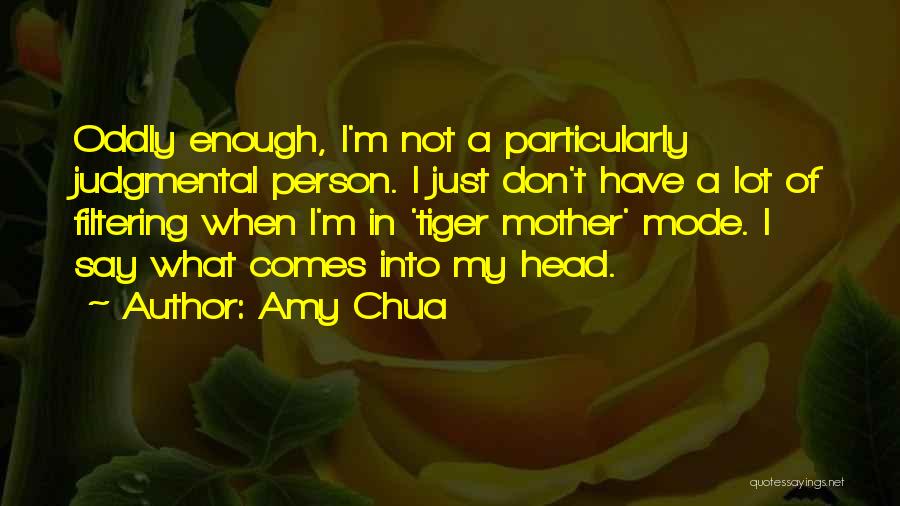 Judgmental Person Quotes By Amy Chua