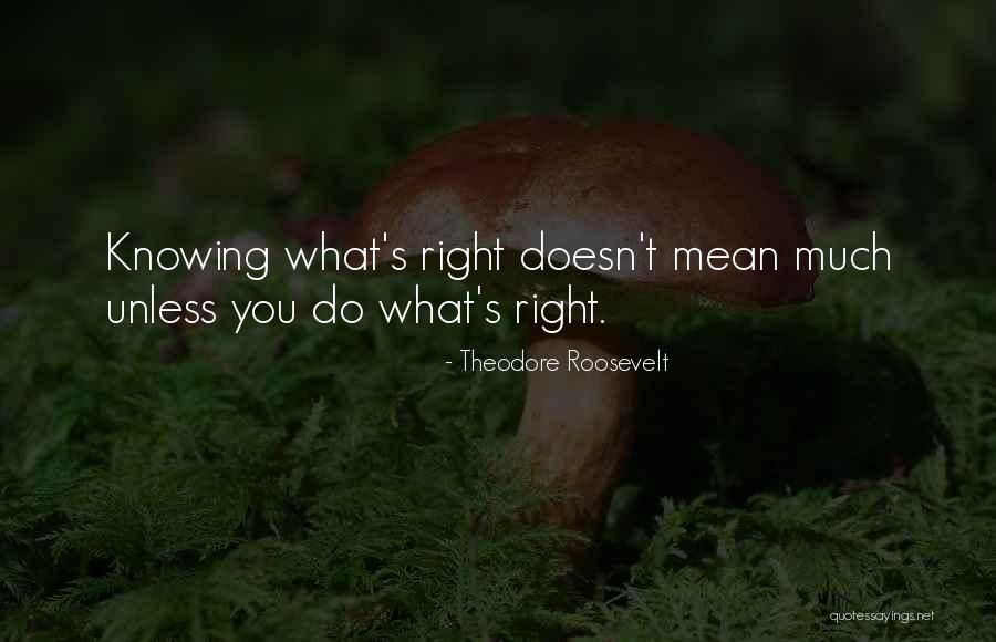Judith Logan Sowers Quotes By Theodore Roosevelt Judith Logan Sowers Quotes By Theodore Roosevelt
