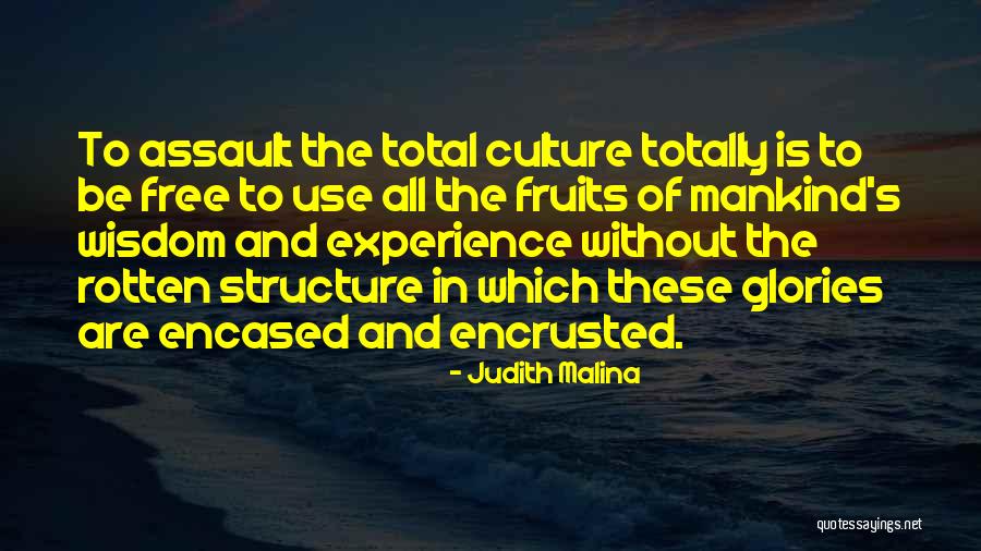 Judith Malina Quotes 2063453 Judith Malina Quotes 2063453