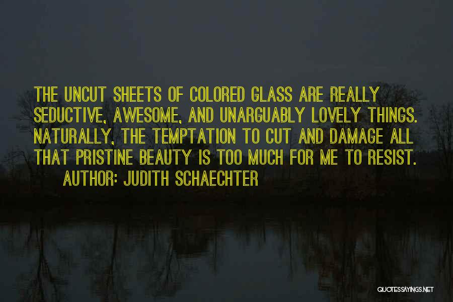 Judith Schaechter Quotes 456918