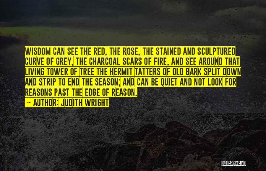 Judith Wright Quotes 671949