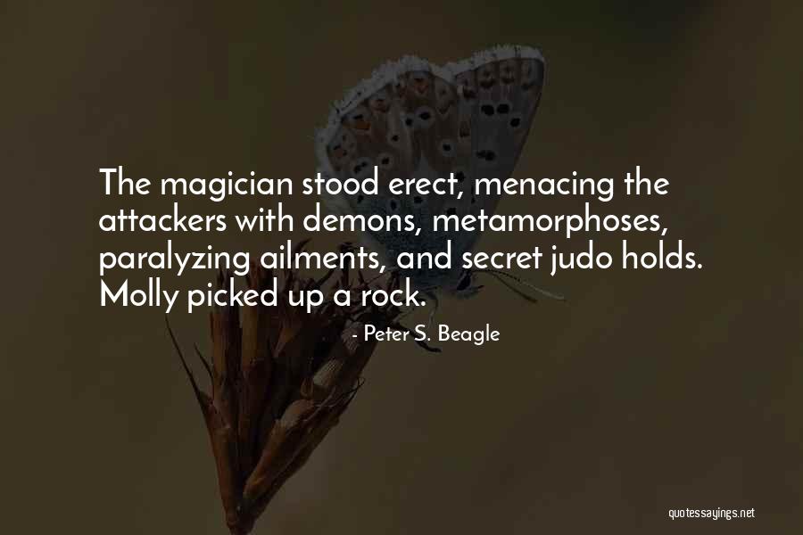 Judo Quotes By Peter S. Beagle Judo Quotes By Peter S. Beagle