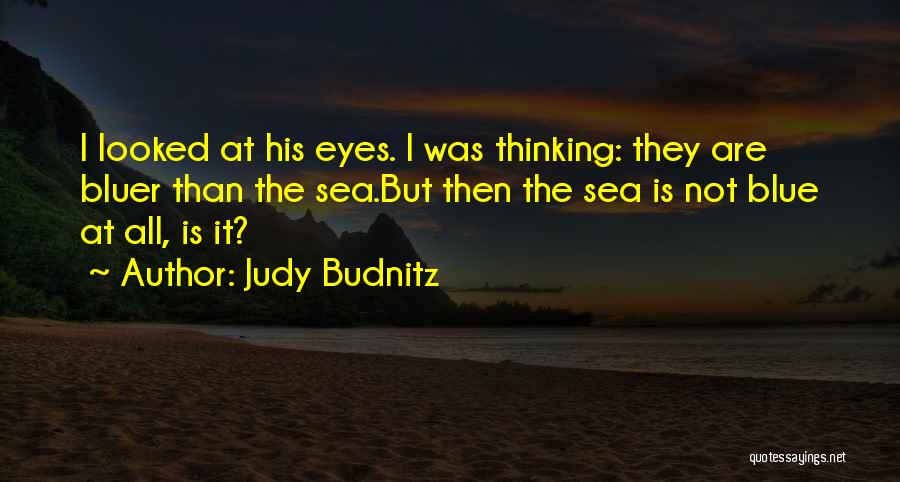 Judy Budnitz Quotes 1675493