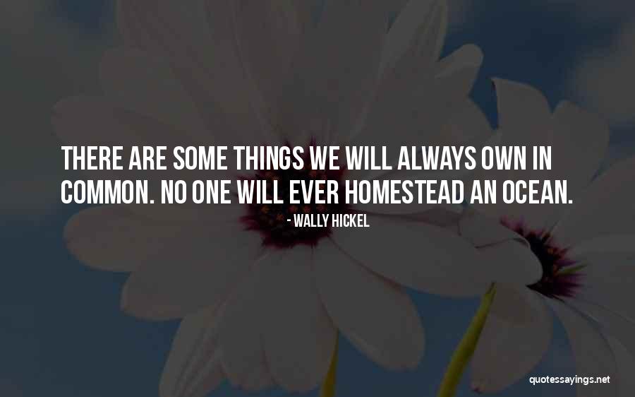 Judy Cassab Quotes By Wally Hickel Judy Cassab Quotes By Wally Hickel