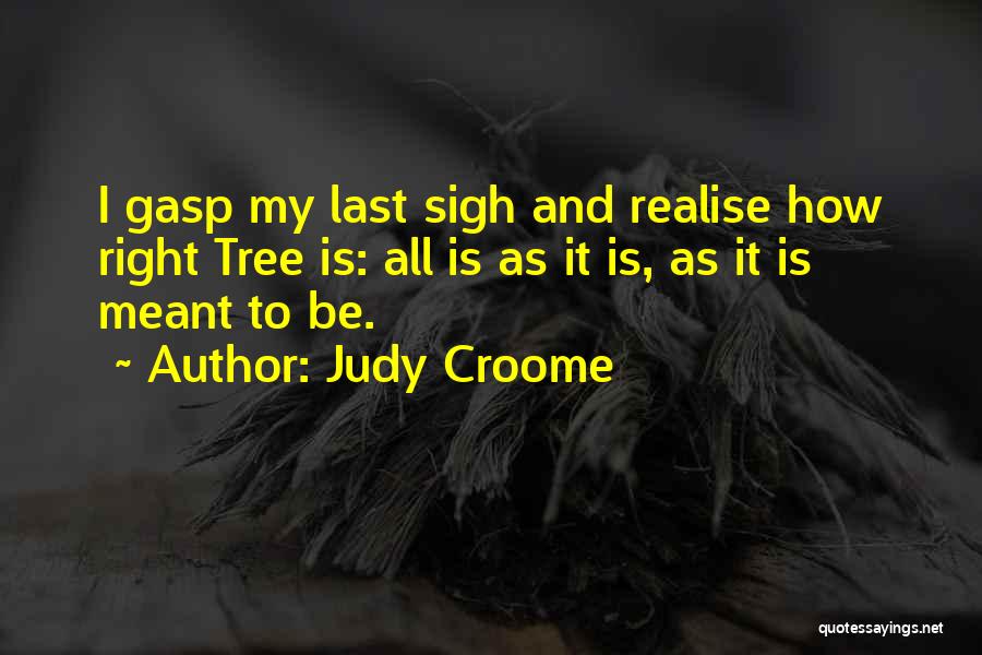 Judy Croome Quotes 769933