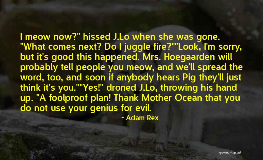 Juggle Quotes By Adam Rex Juggle Quotes By Adam Rex