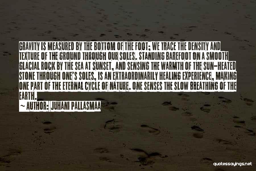 Juhani Pallasmaa Quotes 1386857