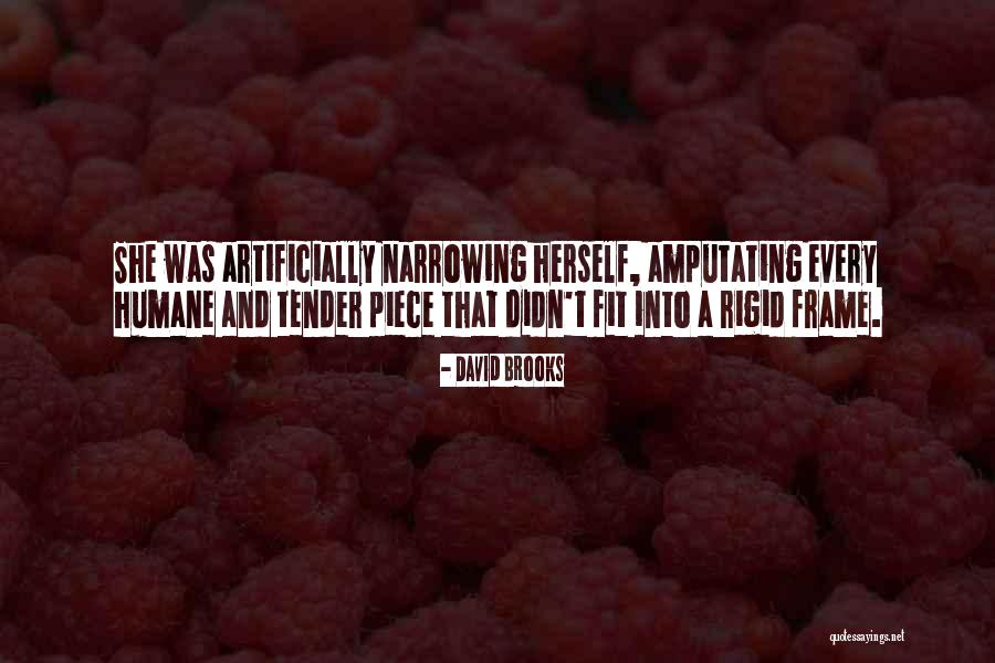 Juices For Mimosa Quotes By David Brooks Juices For Mimosa Quotes By David Brooks