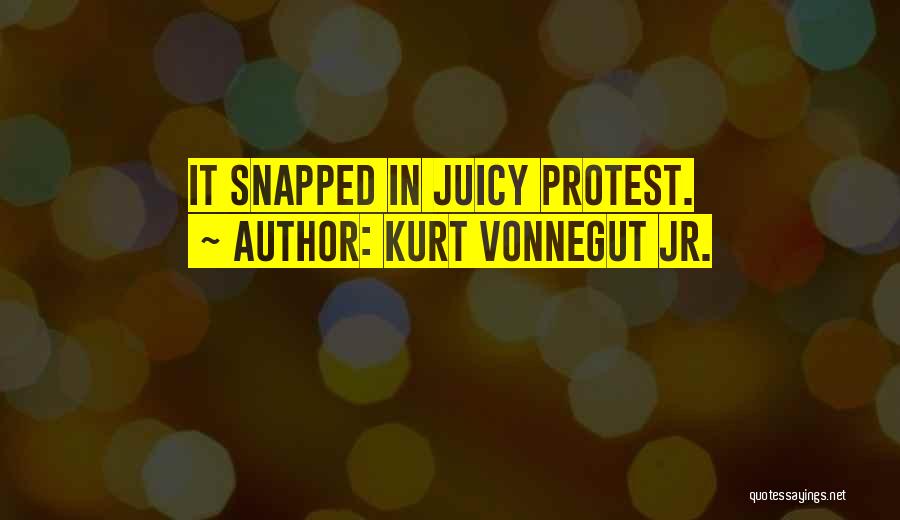 Juicy Quotes By Kurt Vonnegut Jr.