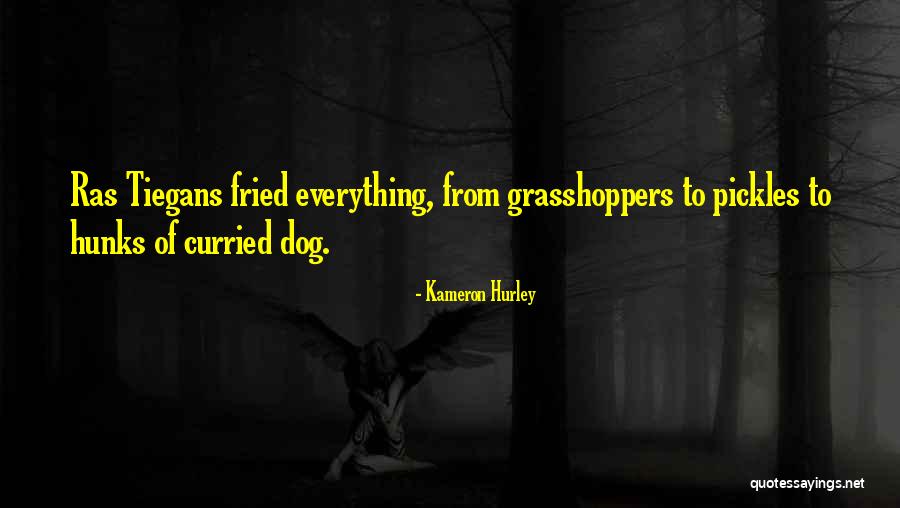 Jukkalan Quotes By Kameron Hurley Jukkalan Quotes By Kameron Hurley