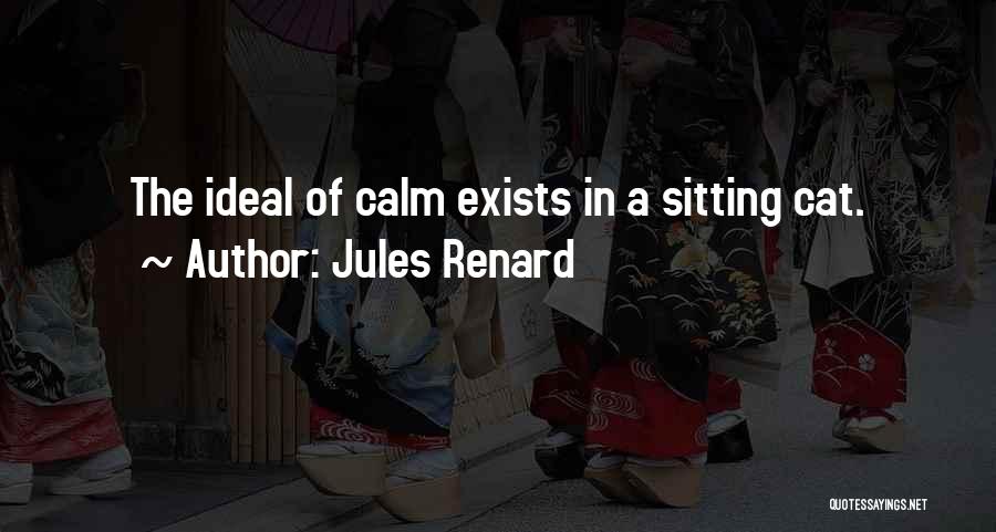 Jules Renard Quotes 1360186