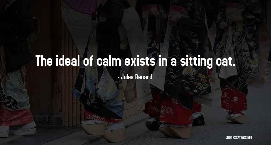 Jules Renard Quotes 1360186