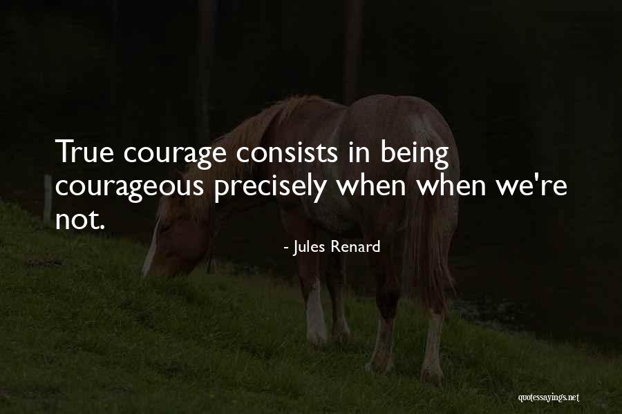 Jules Renard Quotes 1734846