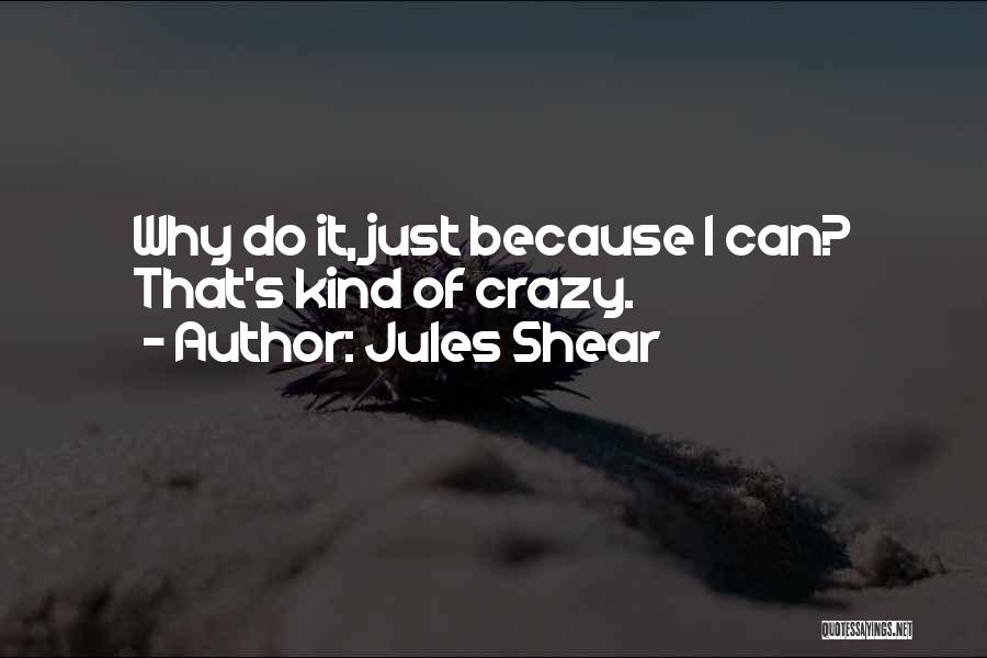 Jules Shear Quotes 2173300