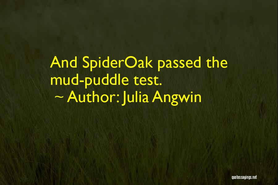 Julia Angwin Quotes 922308