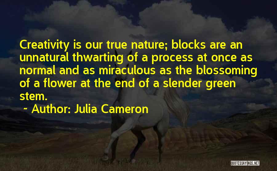 Julia Cameron Quotes 131107