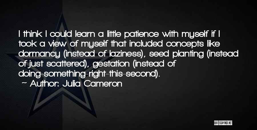 Julia Cameron Quotes 397002