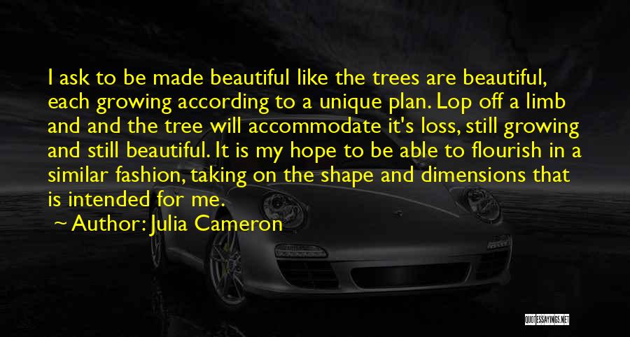 Julia Cameron Quotes 935743