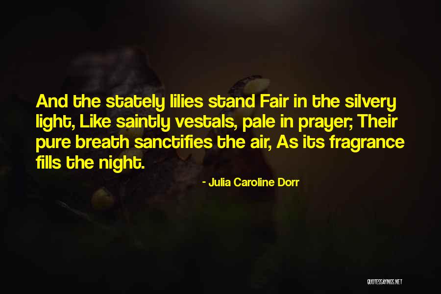 Julia Caroline Dorr Quotes 771179