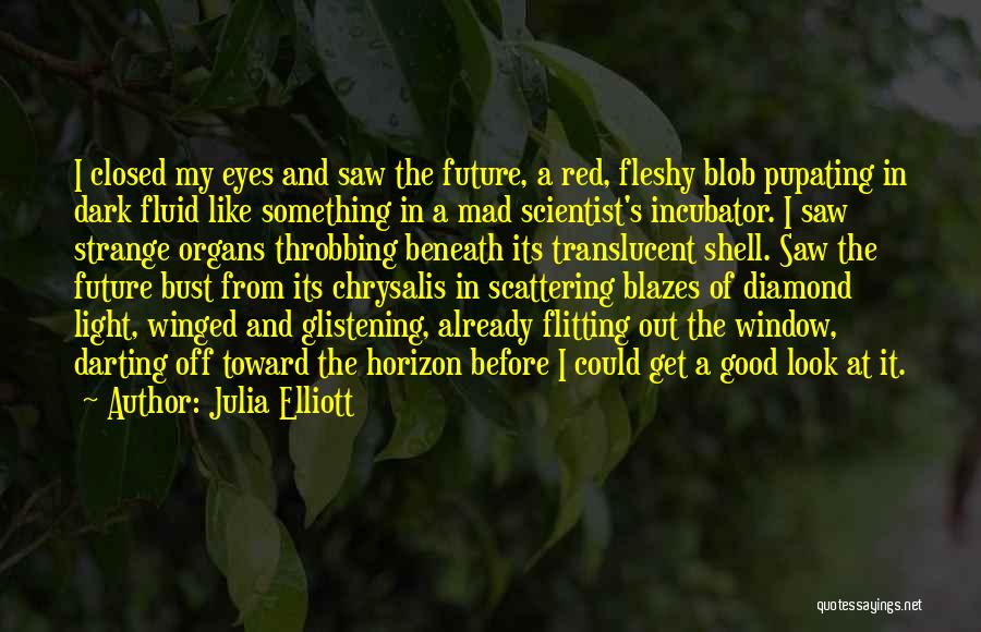Julia Elliott Quotes 1766282